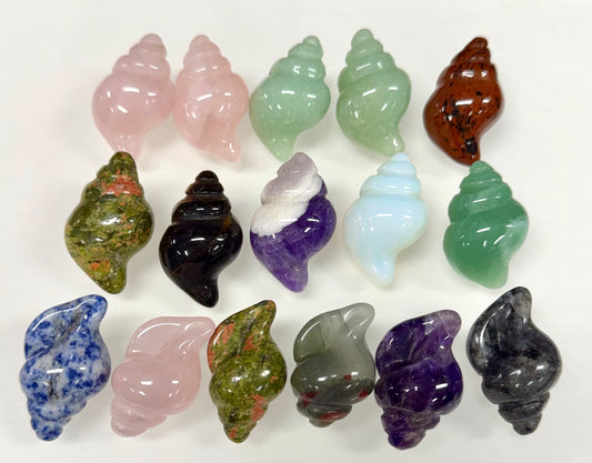 16 PCs 30mm Natural Crystals Sea Shell