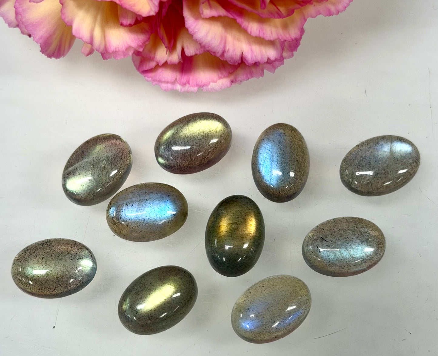 Wholesale Lot 10 pcs Natural Labradorite Cabochon Crystal Healing Energy ~10x14mm