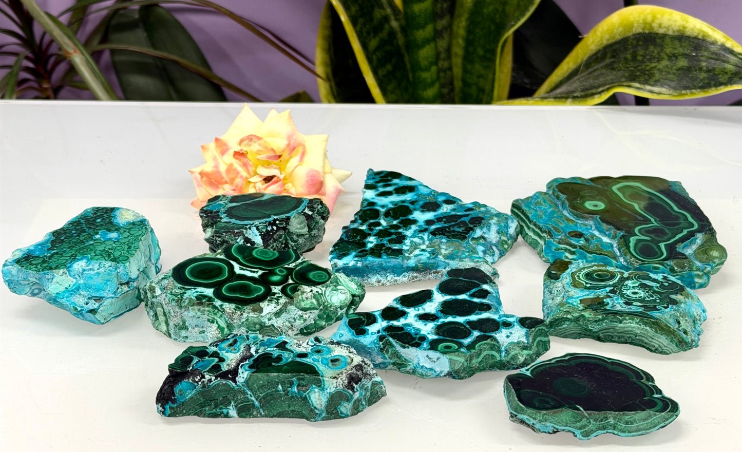 Wholesale 2 lbs Natural Chrysocolla Malachite Slabs Crystal