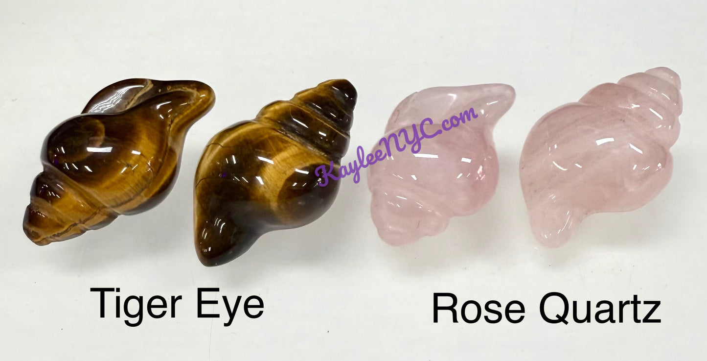 16 PCs 30mm Natural Crystals Sea Shell