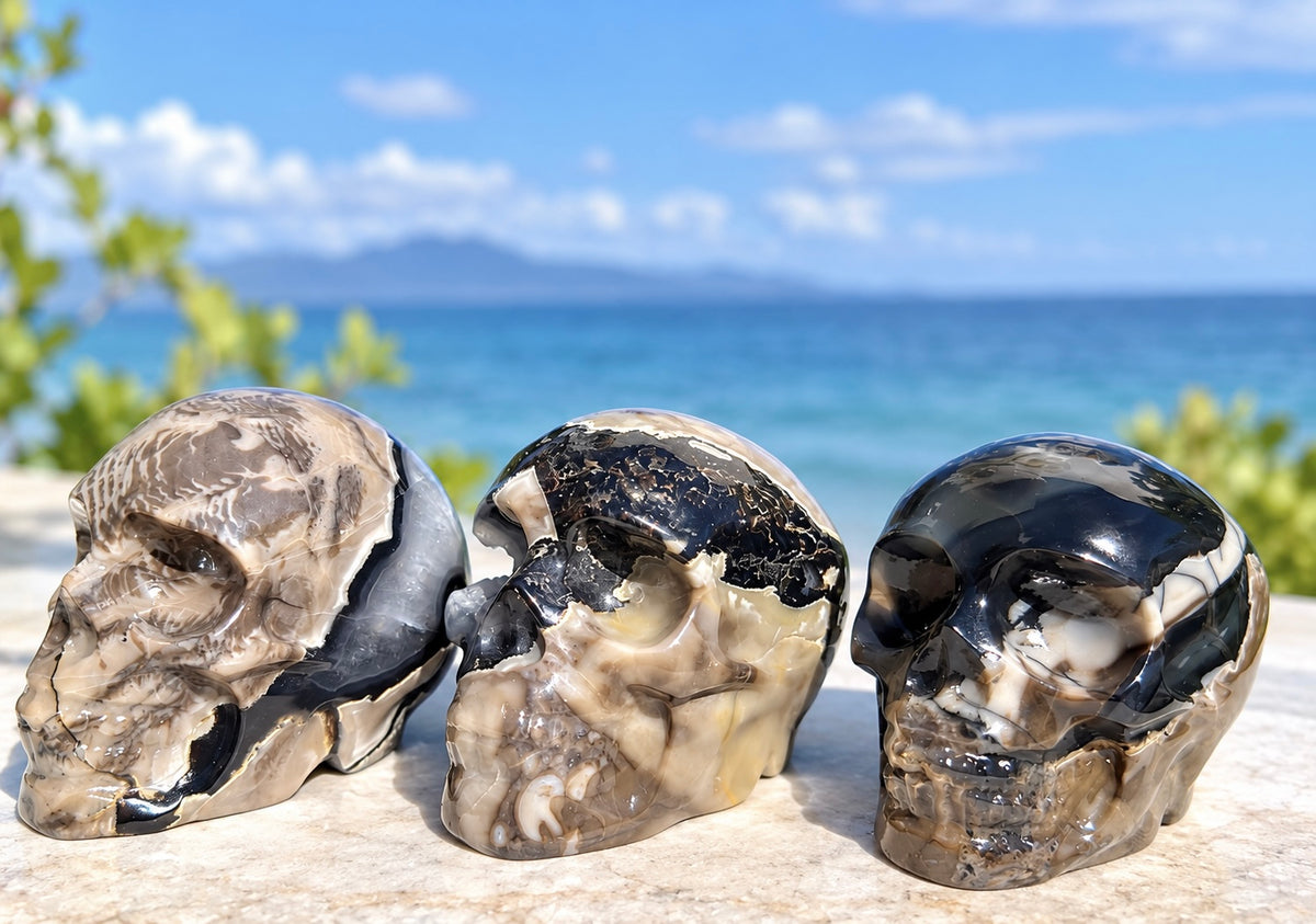Wholesale lot 3 Pcs Natural Volcano Agate Skull Crystals Healing Energy