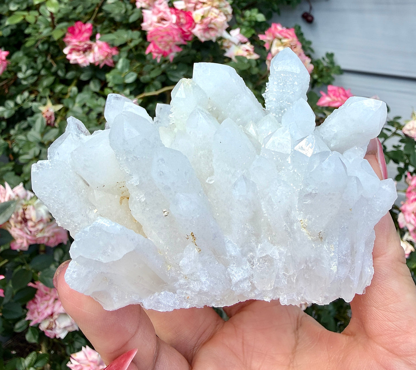 Wholesale Lot 4-6 pcs Natural Druzy Quartz Cluster Rough Crystal Healing Energy