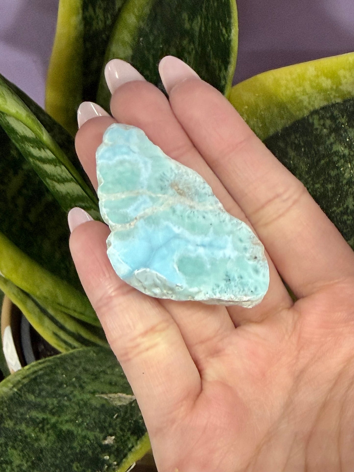 Wholesale Lot 1 lb Natural Larimar Slabs Crystal Healing Energy