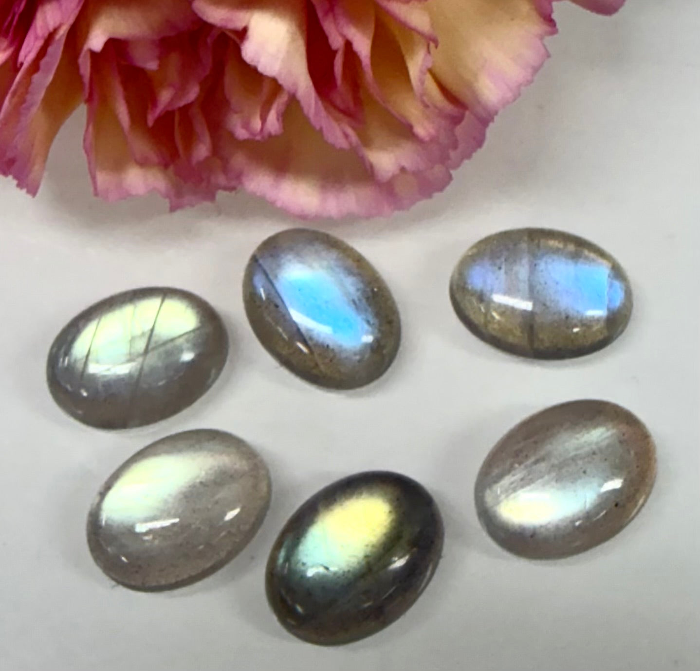 Wholesale Lot 6 pcs Natural Labradorite Cabochon Crystal Healing Energy ~12x16mm