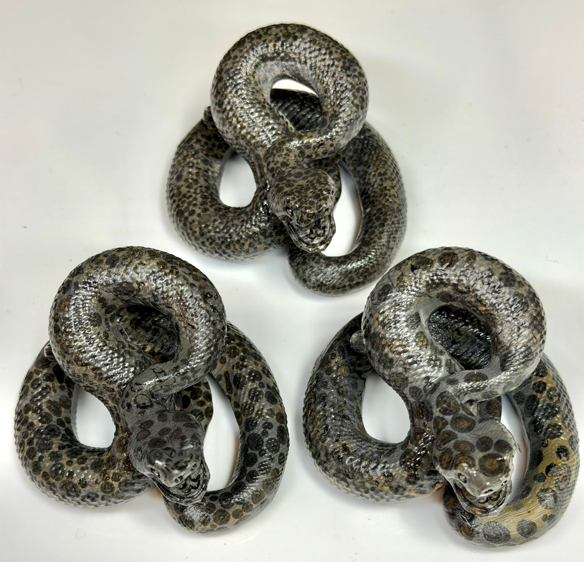 Wholesale Lot 4 Pcs Natural Money Stone and Leopard Stone Snakes Healing Energy