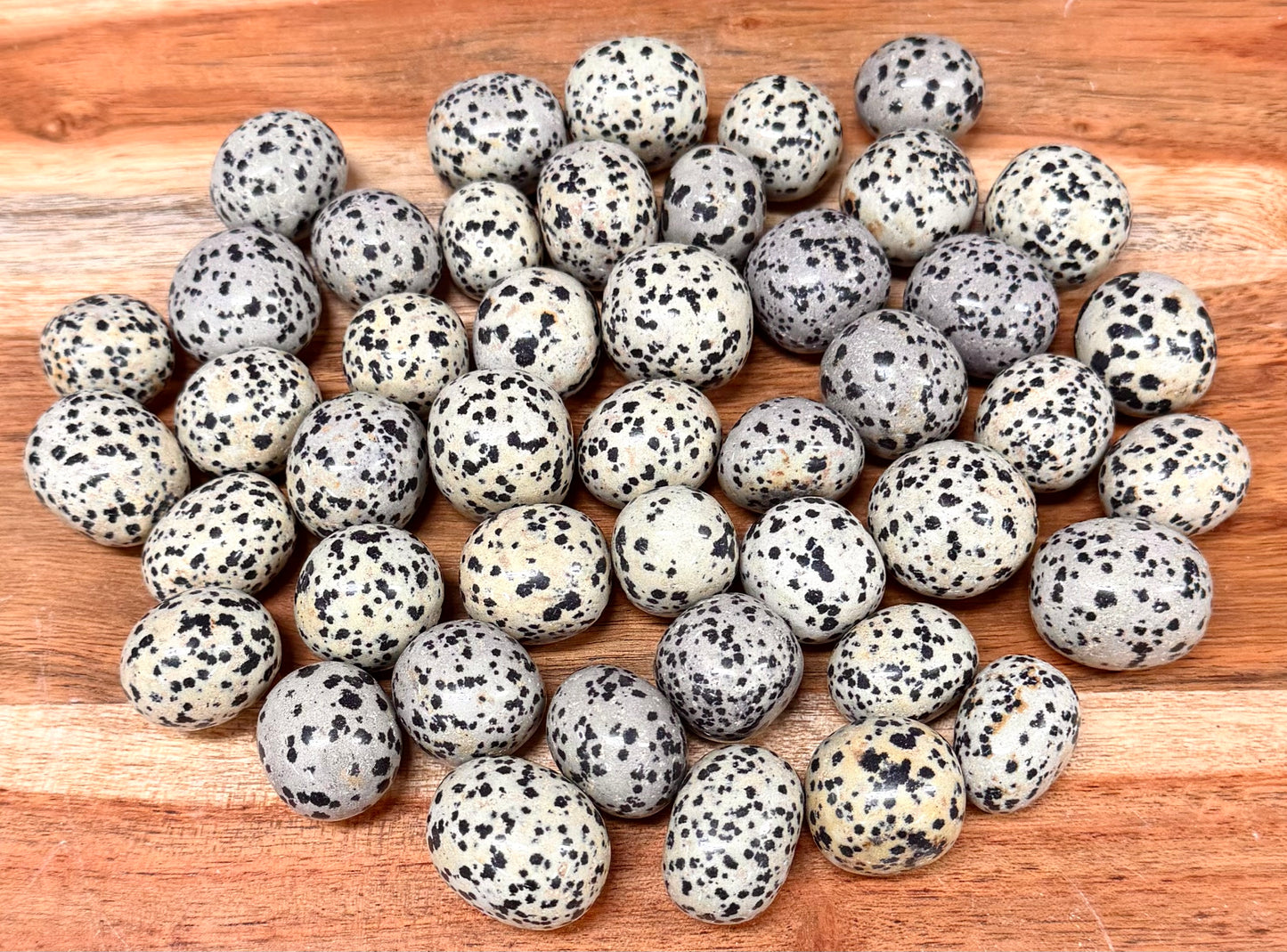 2 lbs Natural Dalmatian Jasper Tumble Crystal Healing Energy