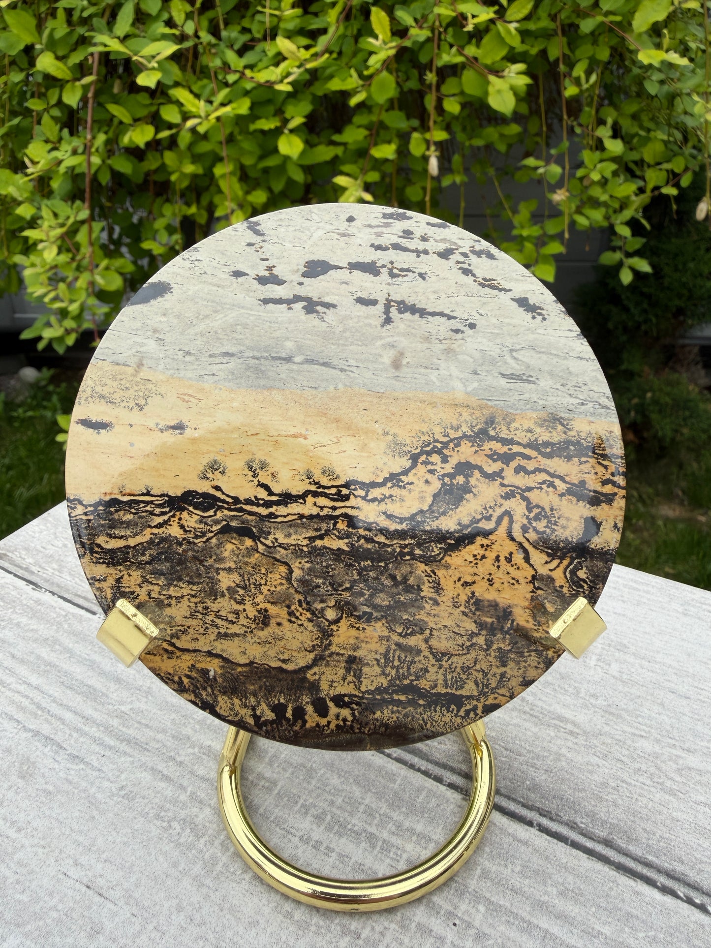 Wholesale Lot 4 pcs Natural Picture Jasper Slab with stand Crystal Healing Energy