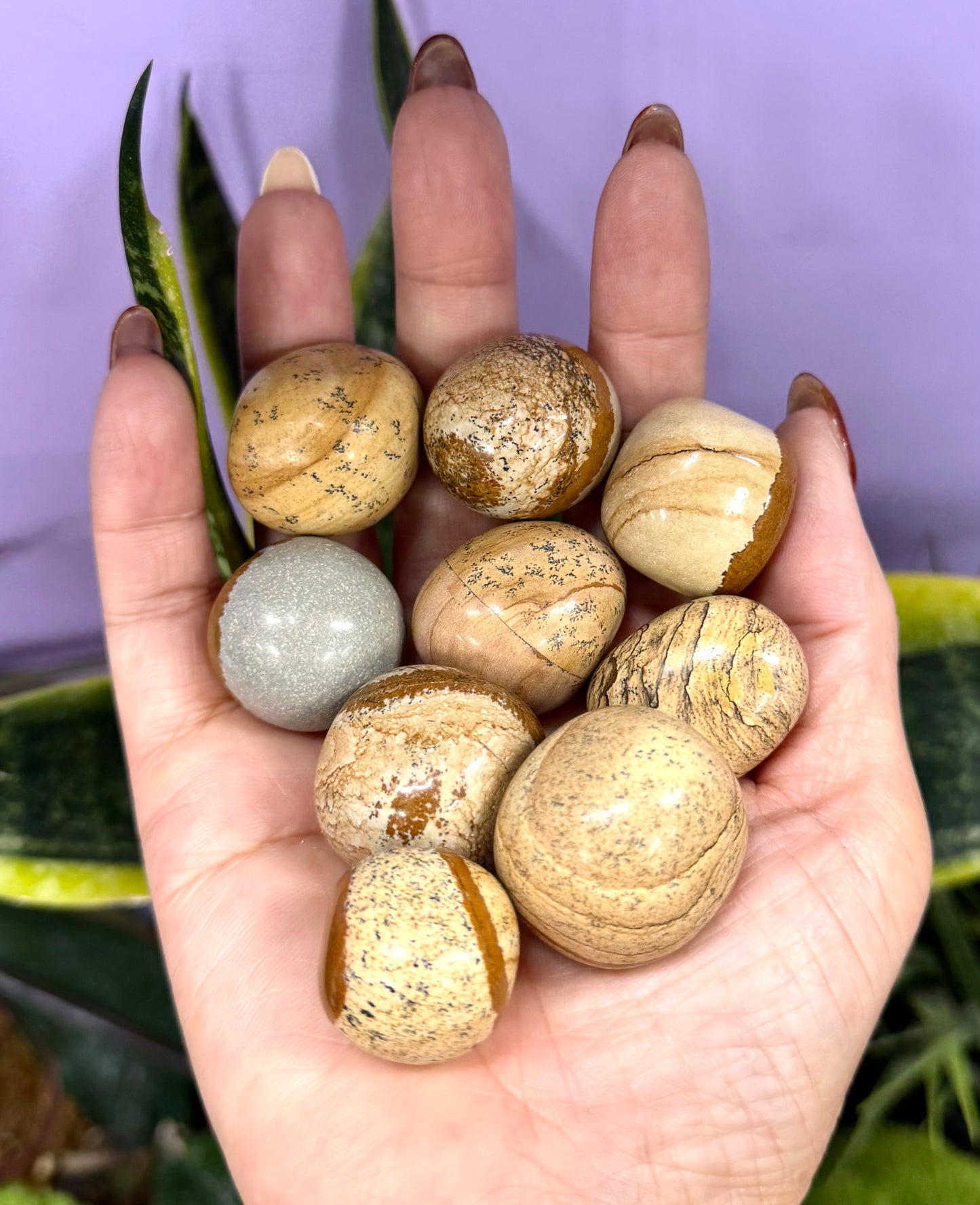 2 lbs Natural Picture Jasper Tumble Crystal Healing Energy