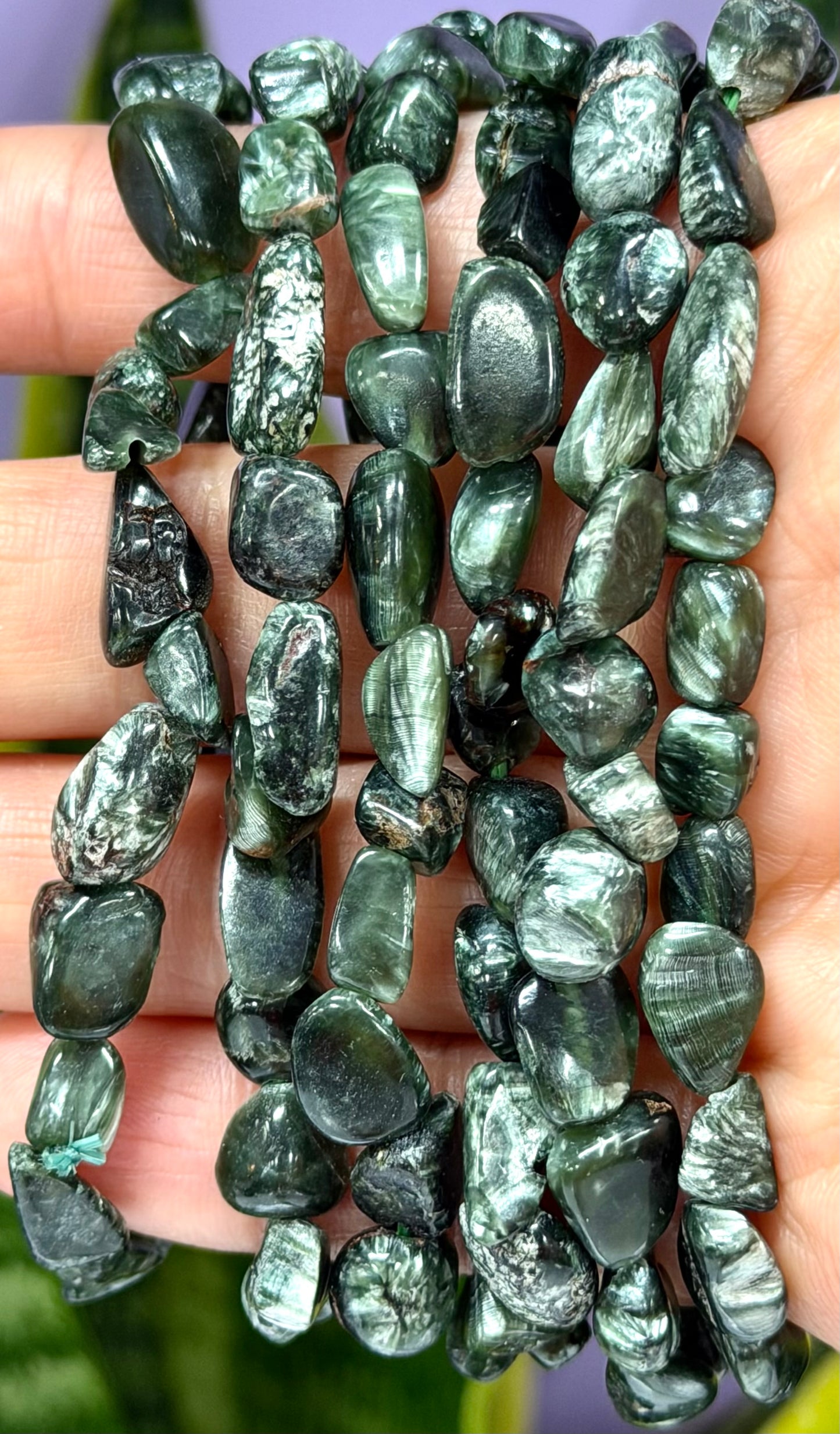 Wholesale 6 Pcs ~7mm Seraphinite Natural Crystal tumble Stretch Bracelet 7.5”
