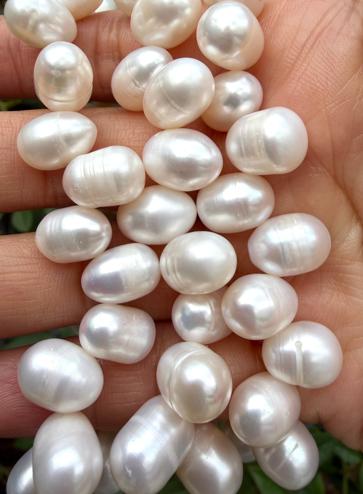 Wholesale 6 Pcs 8x12mmNatural Freshwater Pearl Healing Stretch Bracelet 7.3”