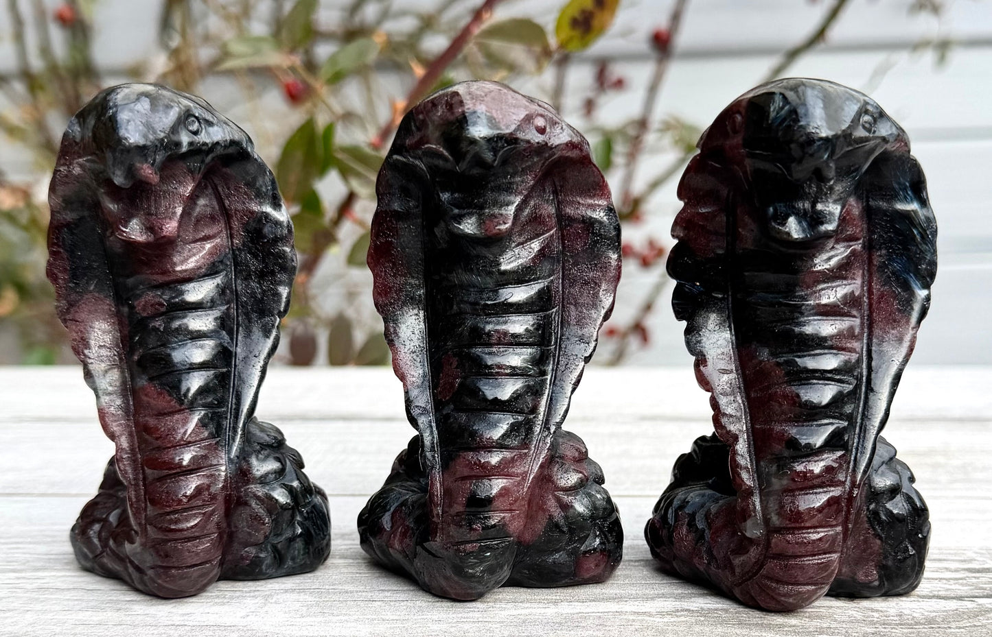 4 PCs Natural Garnet Astrophyllite / Arfvedsonite Coba Snake Crystal healing energy