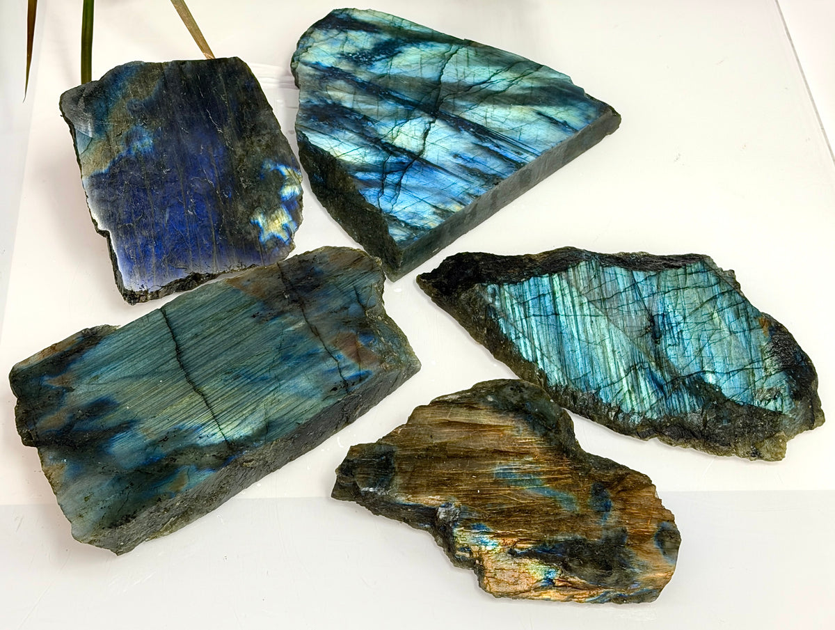 Wholesale Lot 4-5 pcs Natural Labradorite Slab Crystal Healing Energy