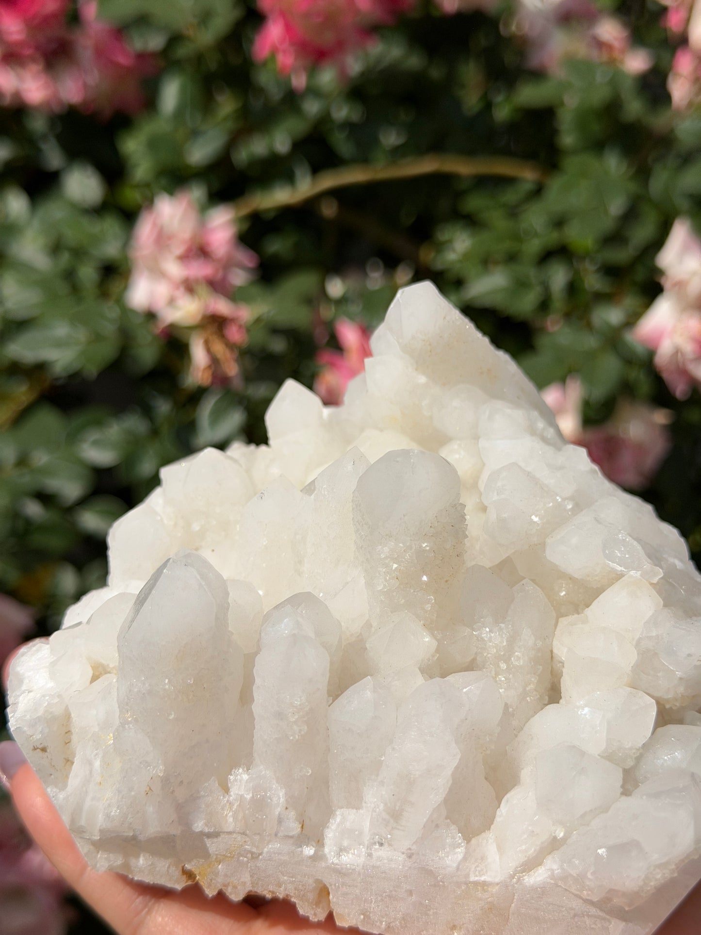 Wholesale Lot 4-6 pcs Natural Druzy Quartz Cluster Rough Crystal Healing Energy