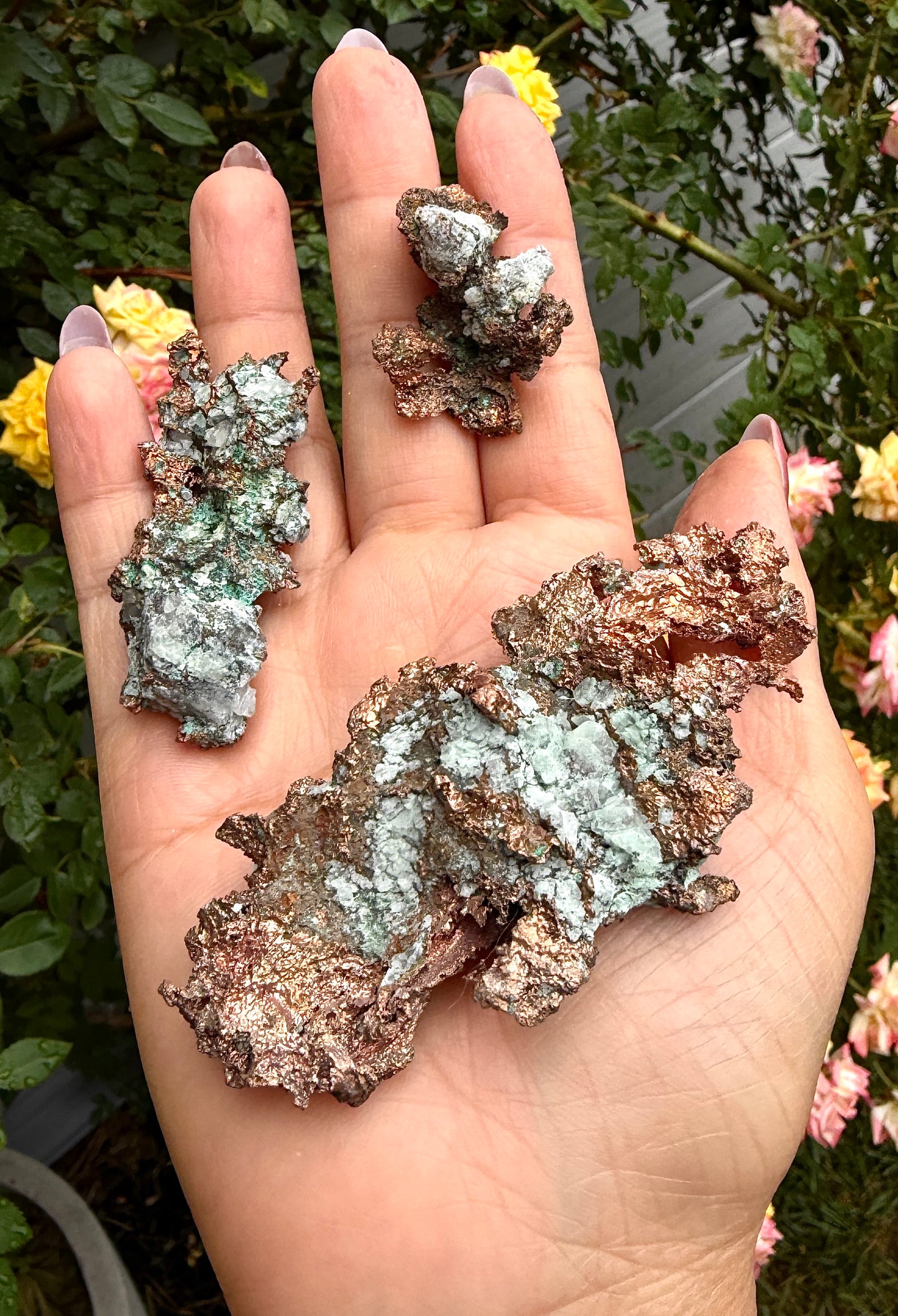 2 lbs Natural Copper Matrix Specimen Rough Crystal