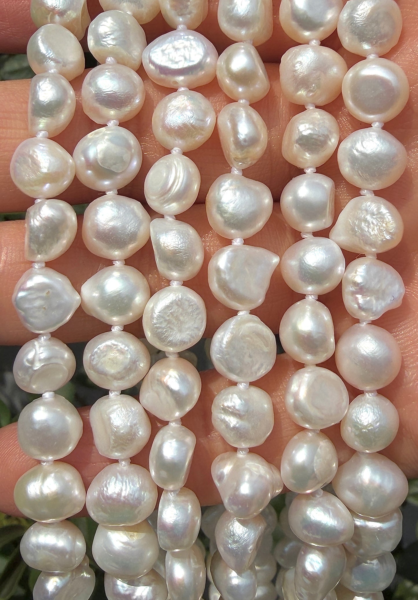6 PCs 6 pcs ~8.5mm Natural Freshwater Pearl Necklace Healing Energy