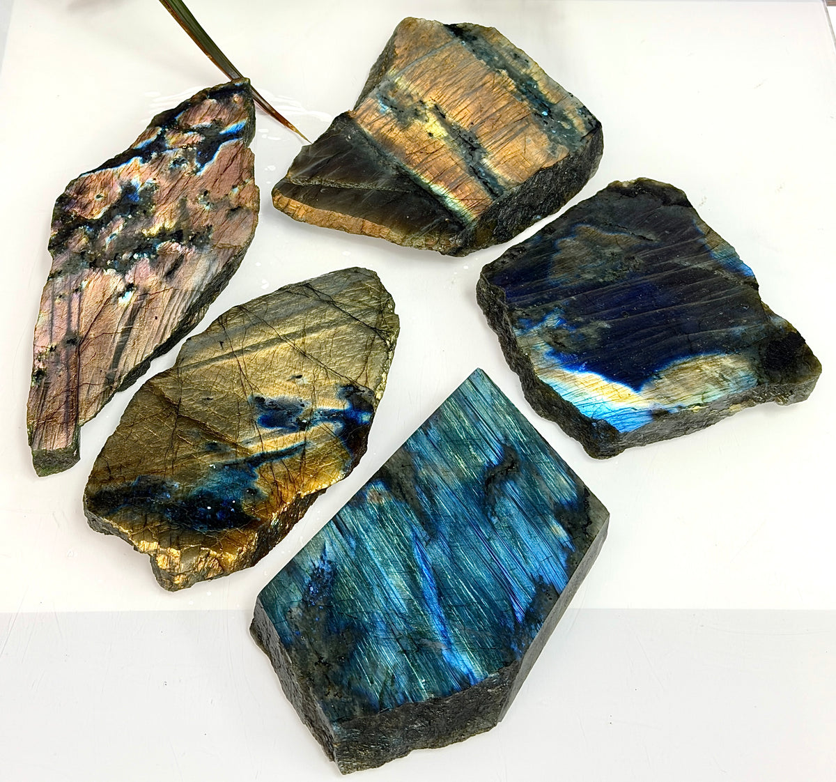 Wholesale Lot 4-5 pcs Natural Labradorite Slab Crystal Healing Energy