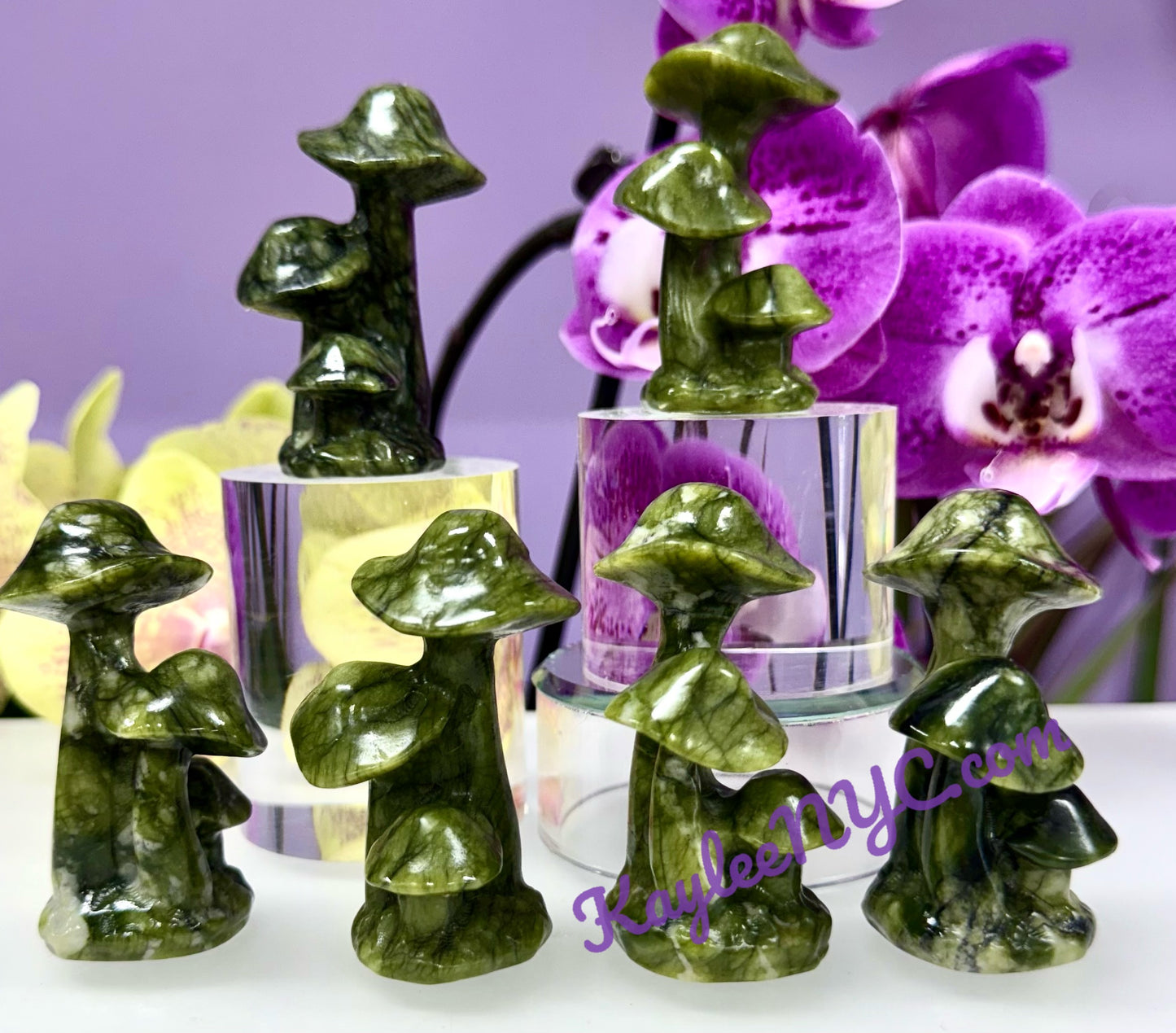 Wholesale Lot 6 pcs Natural Nephrite Jade Mushroom Crystals Healing Energy