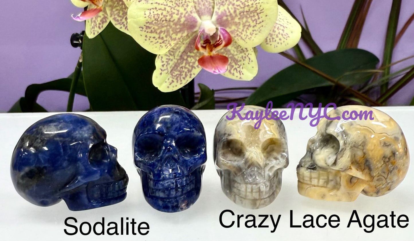 9 PCs 1.5” Natural Crystals Skull Healing Energy