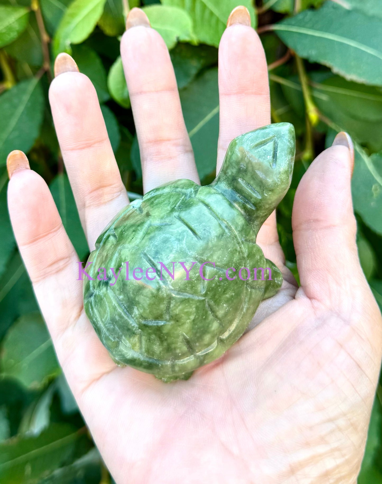 6 PCs Natural Nephrite Jade Turtle healing energy