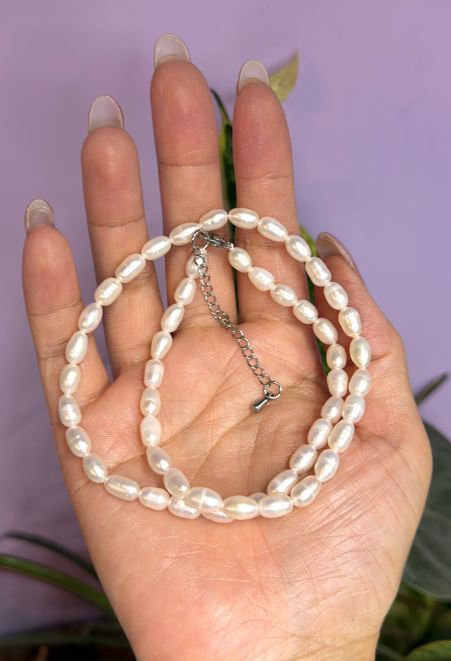 6 PCs 6 pcs ~5.5mm Natural Freshwater Pearl Necklace Healing Energy