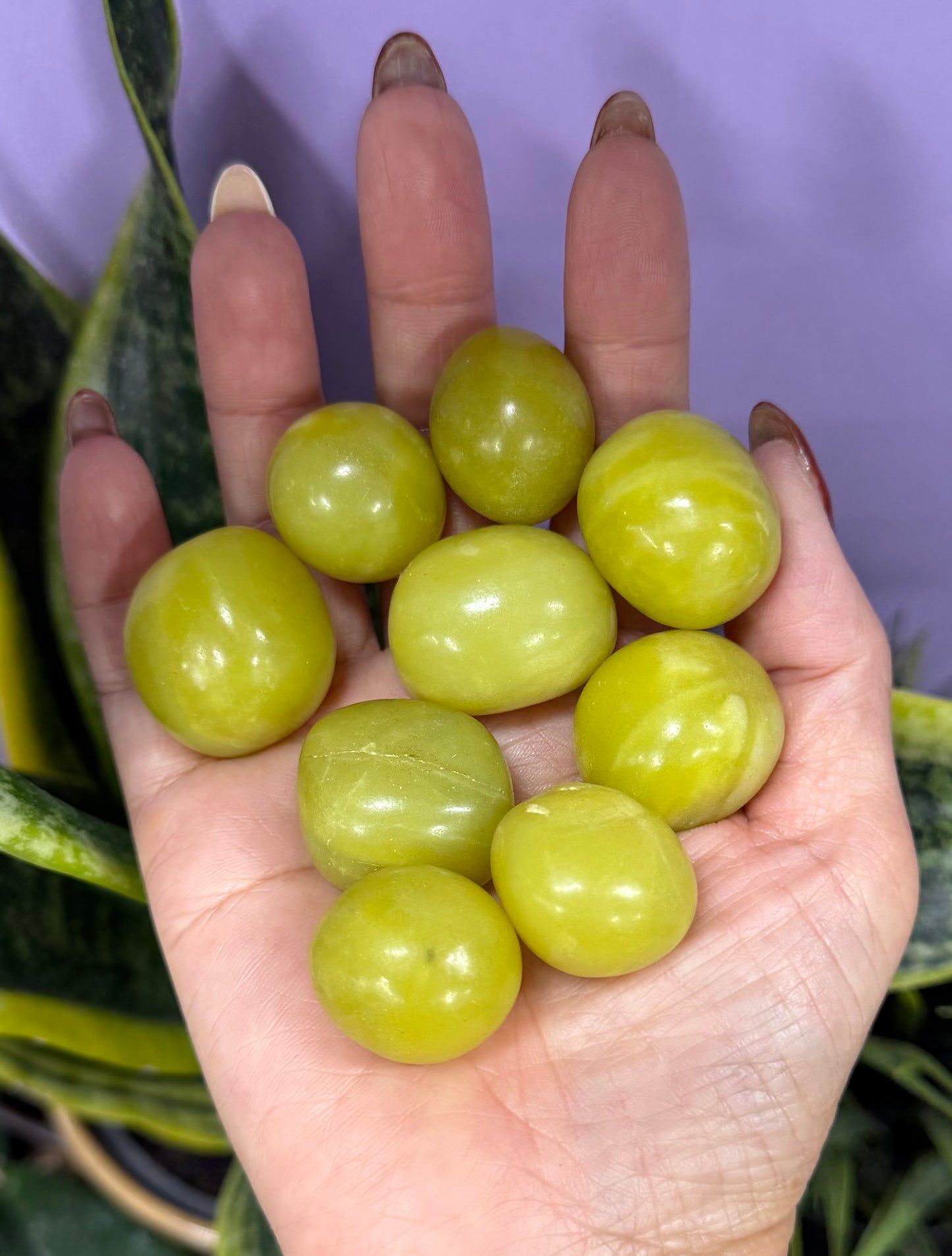 2 lbs Natural Olive Jade Tumble Crystal Healing Energy