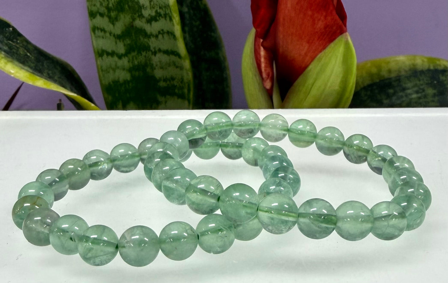 Wholesale 6 Pcs Natural Green Fluorite 8mm 7.5” Crystal Healing Stretch Bracelet