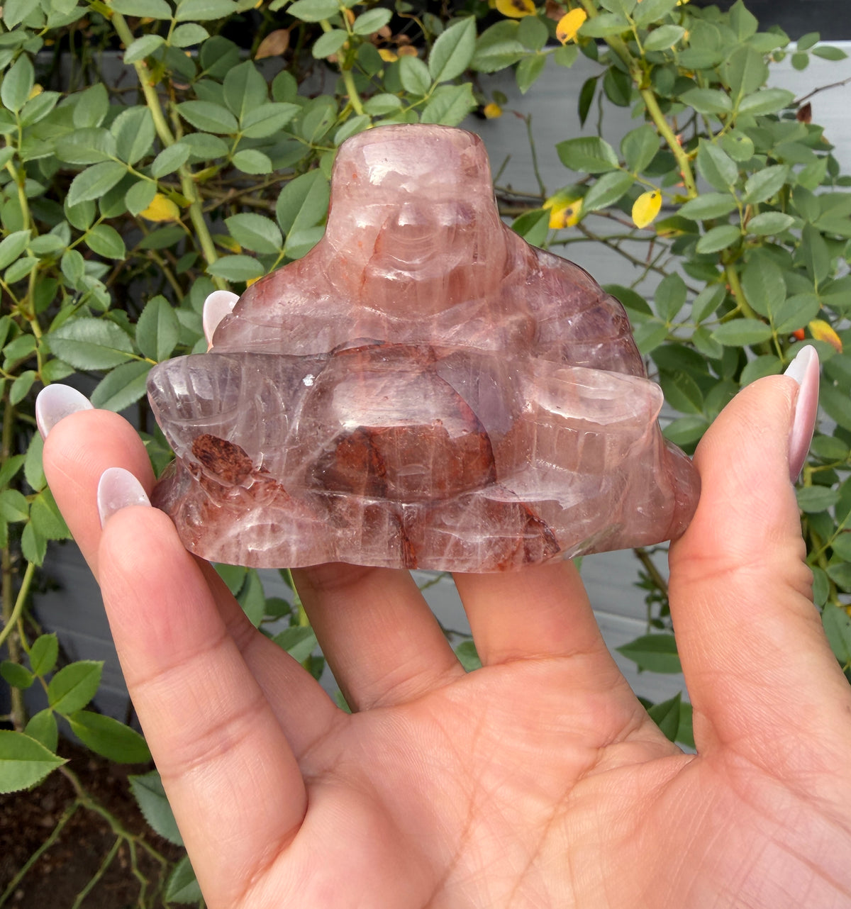 Wholesale Lot 8cm Mixed Natural Crystals Buddha Energy Healing