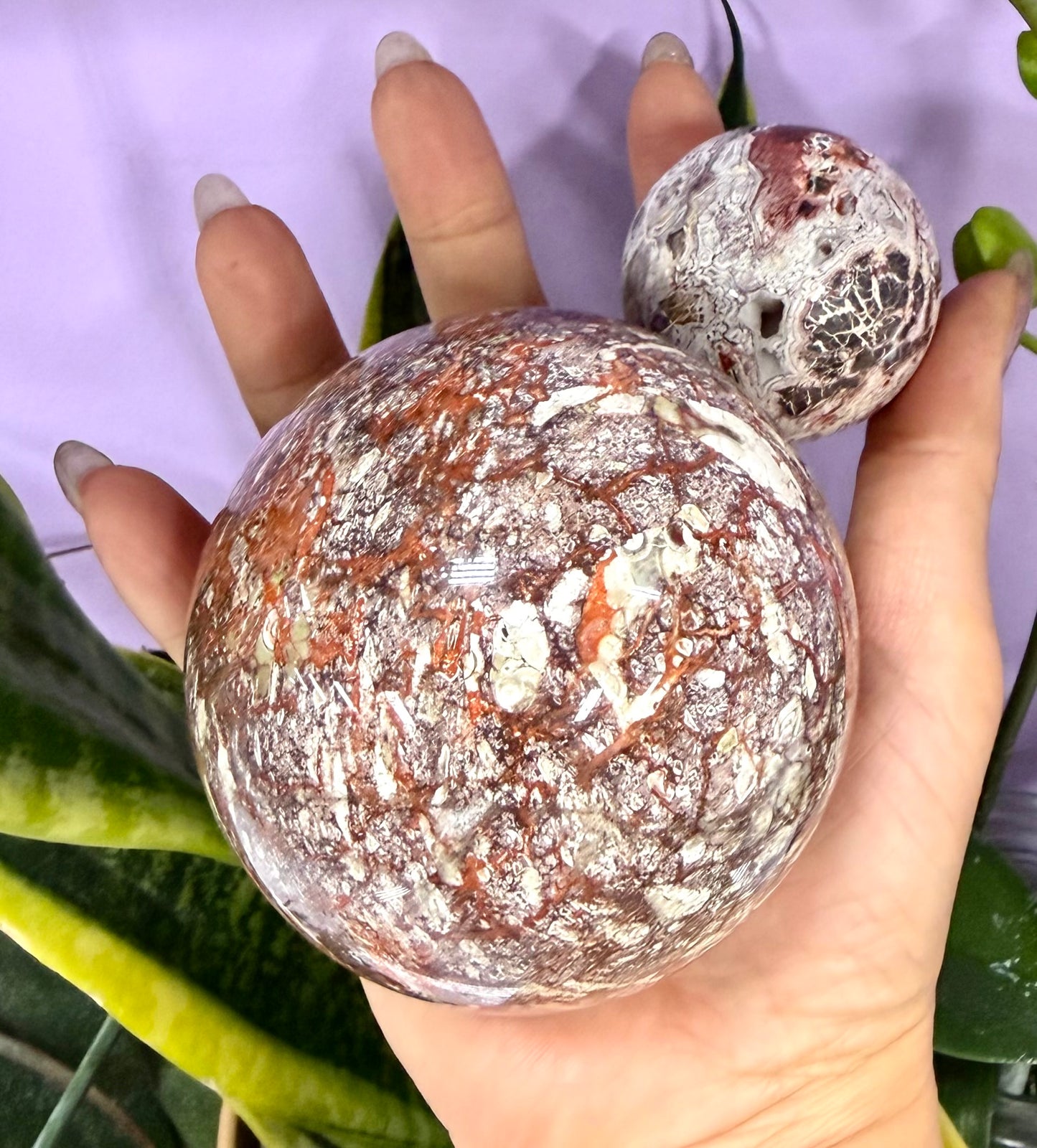 Wholesale Lot 3-4 Pcs Natural Money Agate Sphere Crystal Ball 2.8-3lbs Healing Energy
