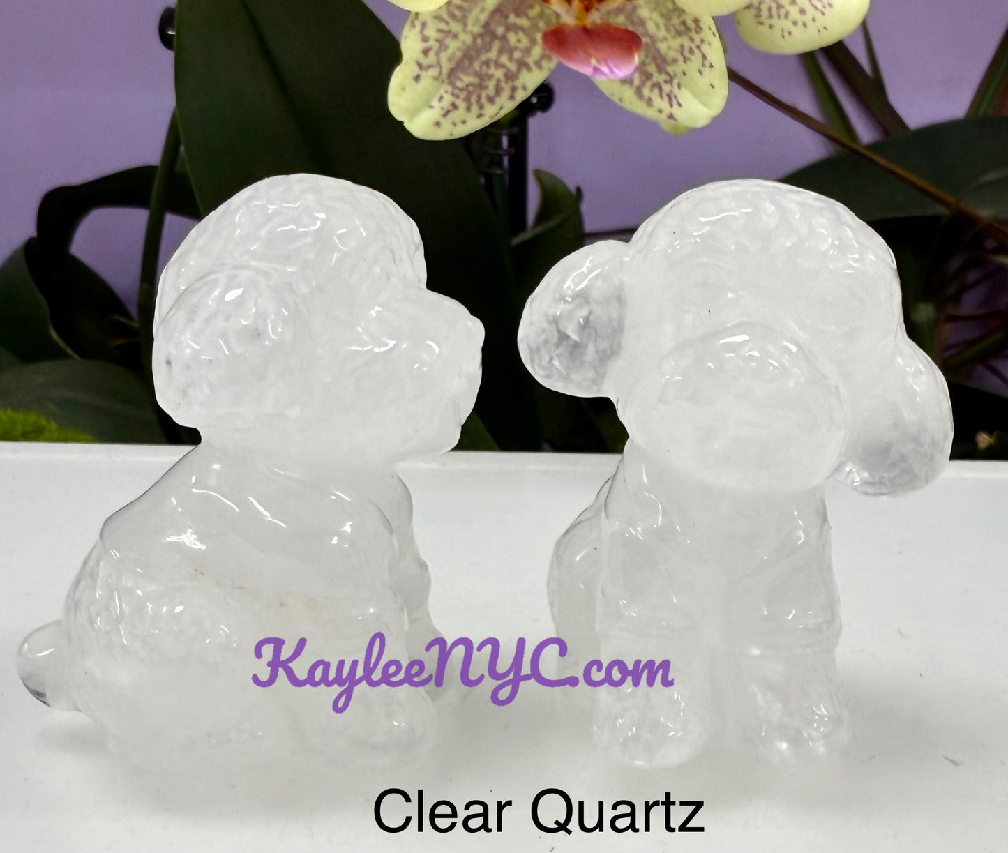 Wholesale Lot 6 pcs Natural Crystals Toy Poodle Healing Energy