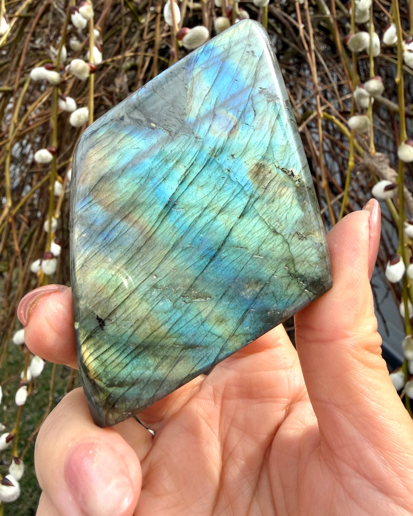 Wholesale Lot 3 lbs Natural Labradorite Freeform Crystal Healing Energy