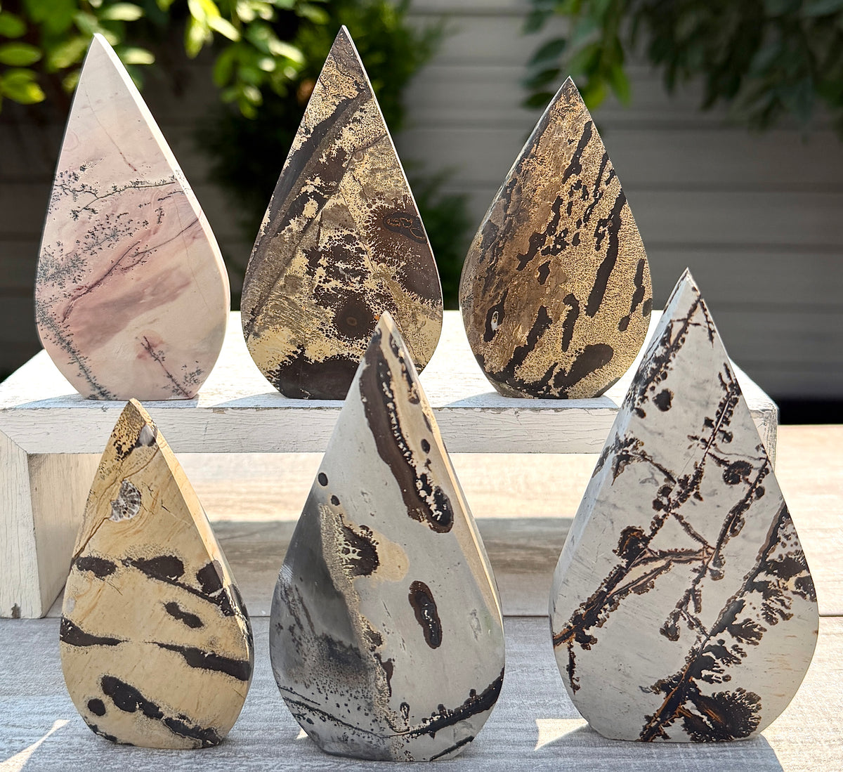 6PCs Natural Picture Jasper Freeform Crystal Healing