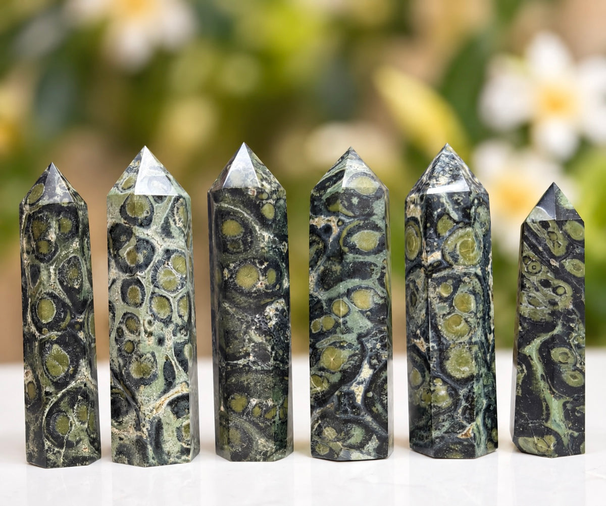 Wholesale Lot 1 Lb Kambaba Jasper Obelisk Tower Point Crystal Natural Energy