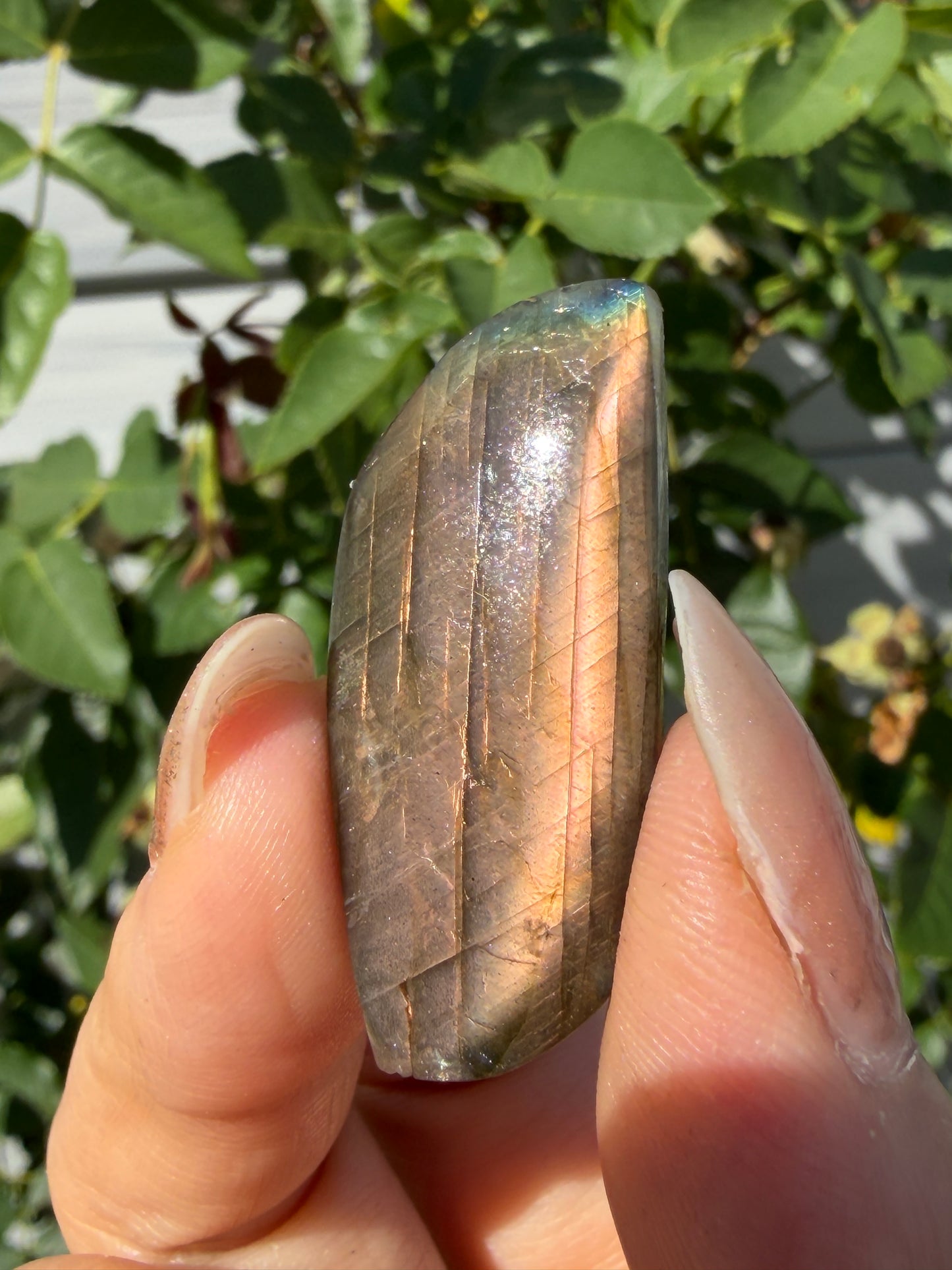 Wholesale Lot 12 pcs Natural Sunset Labradorite Cabochon Crystal Healing Energy