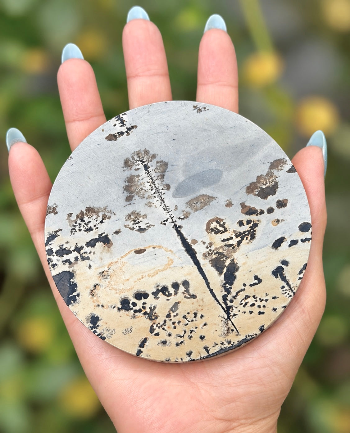 Wholesale Lot 4 pcs Natural Picture Jasper Slab with stand Crystal Healing Energy