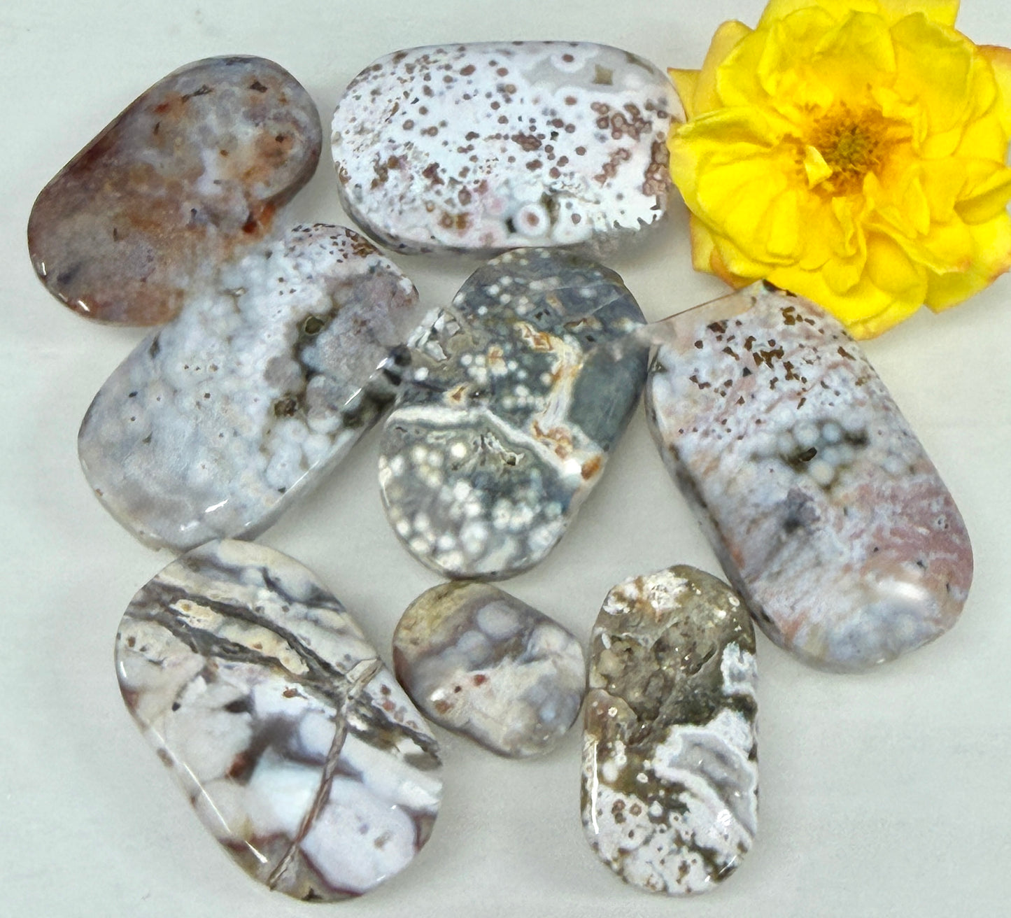 Wholesale 1 lb Lot Natural Ocean Jasper Palm Stone Crystal Energy