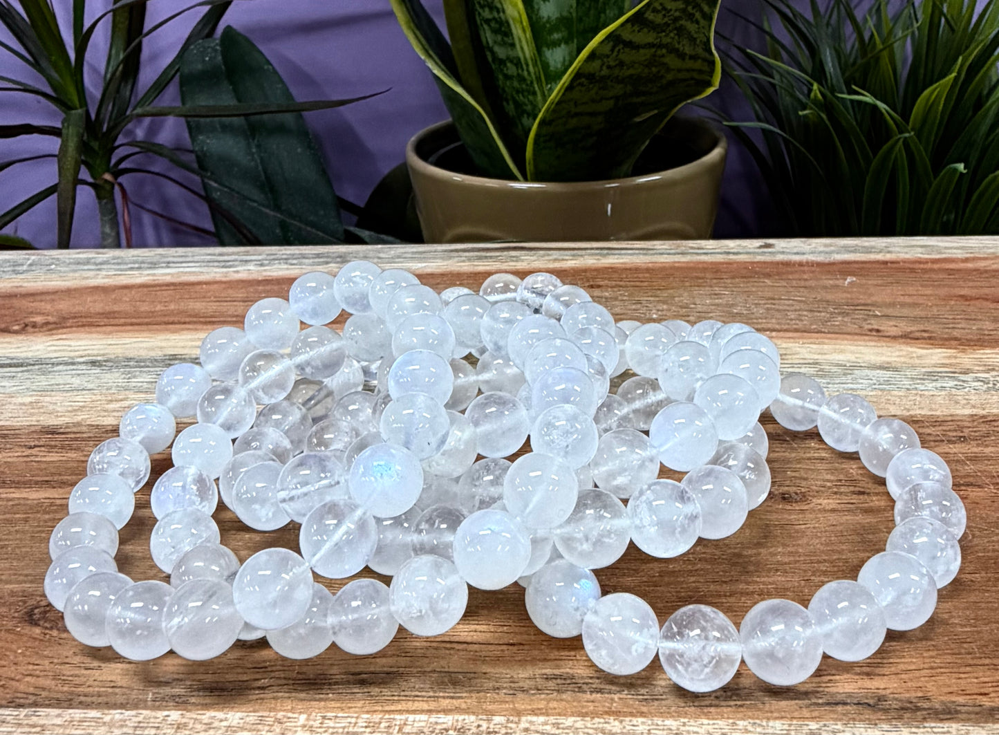 Wholesale Lot 6 Pcs Natural Moonstone 10mm 8” Natural Stretch Bracelet