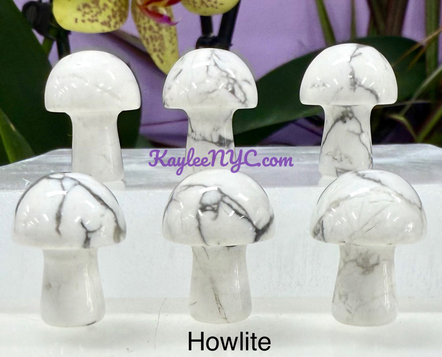 Wholesale Lot 50 PCs Mixed Crystal Mushroom 19mm Healing Energy