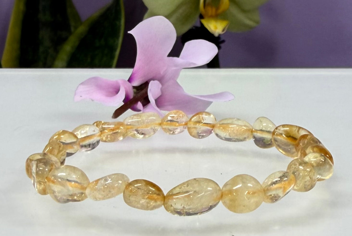 Wholesale 6 Pcs Citrine tumble Stretch Bracelet Crystal Healing Energy 6x8mm 7.5”