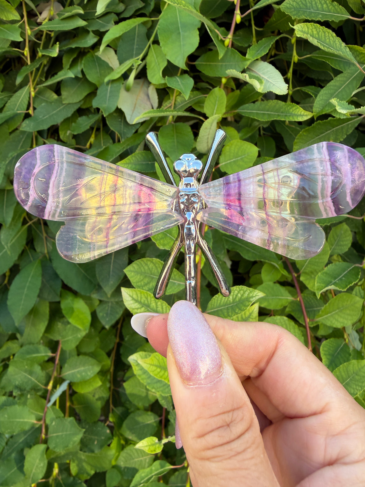 Wholesale Lot 6 PCs Natural Fluorite Crystal Butterfly w/stand Healing Energy