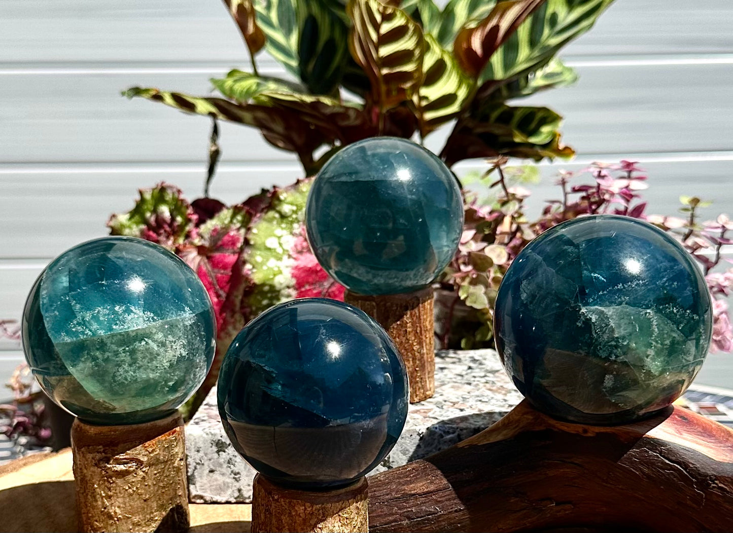Wholesale Lot 4 to 5 Pcs Natural Blue Fluorite Sphere Crystal Ball 4.8 to 5 lbs  Healing Energy