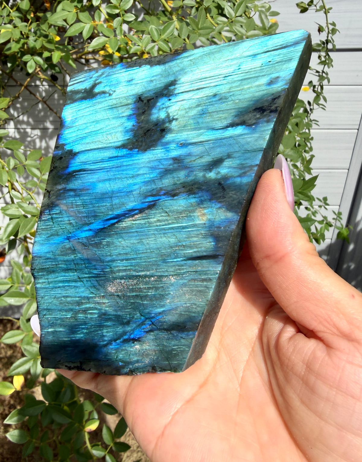 Wholesale Lot 4-5 pcs Natural Labradorite Slab Crystal Healing Energy