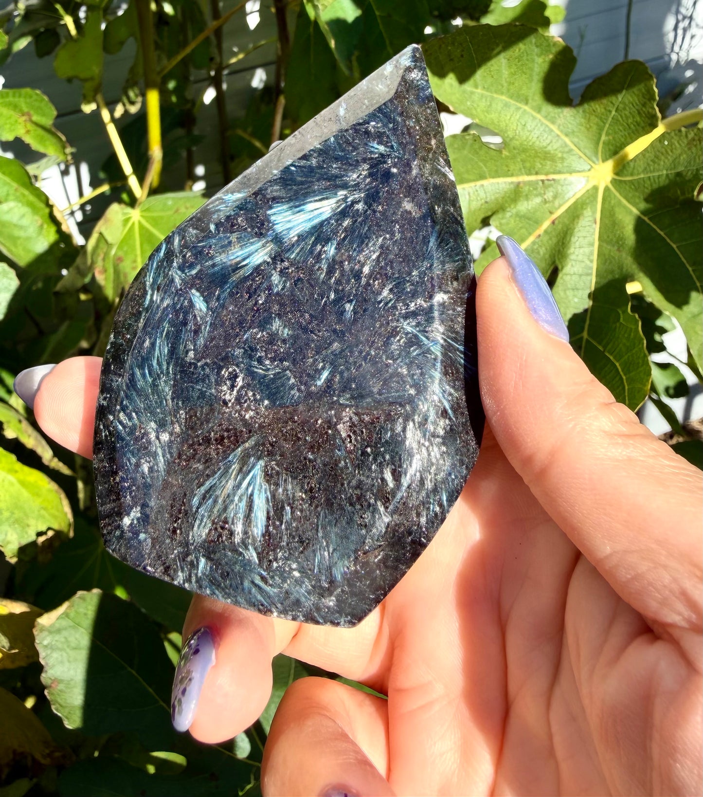 2 lbs Natural Astrophyllite aka Arfvedsonite Freeform Crystal bulk