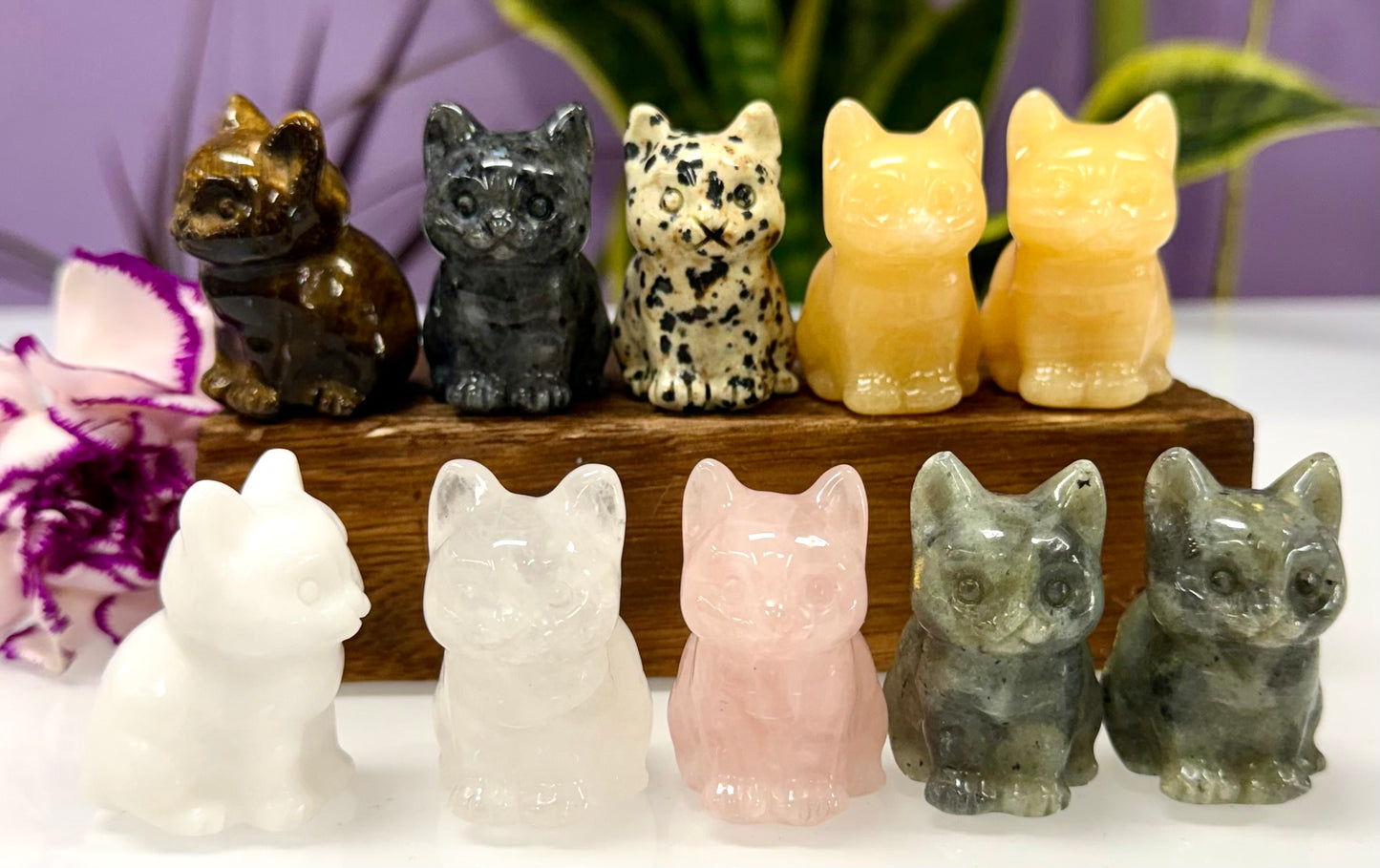 10 PCs Natural Crystals Cat Healing Energy