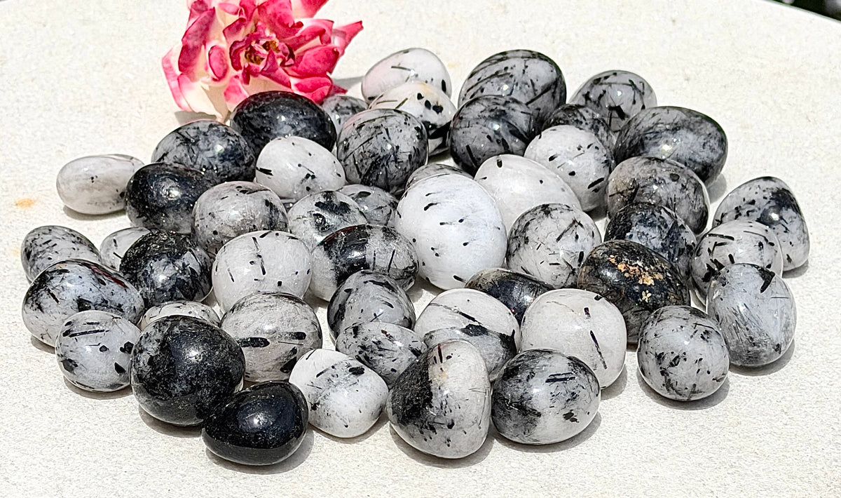 Wholesale Lot 2 Lbs Natural Tourmalinated Quartz Tumble Healing Energy Nice Quality
