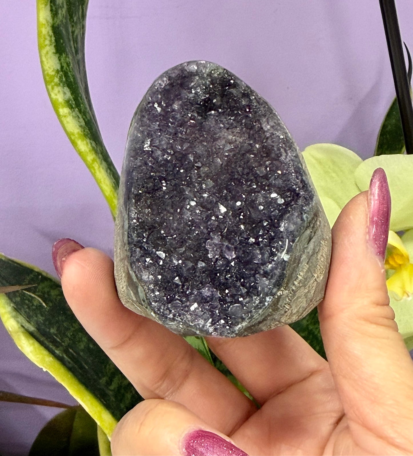 Wholesale Lot 4-5 pcs NaturalAmethyst cut base 4.8-5lbs Healing Energy