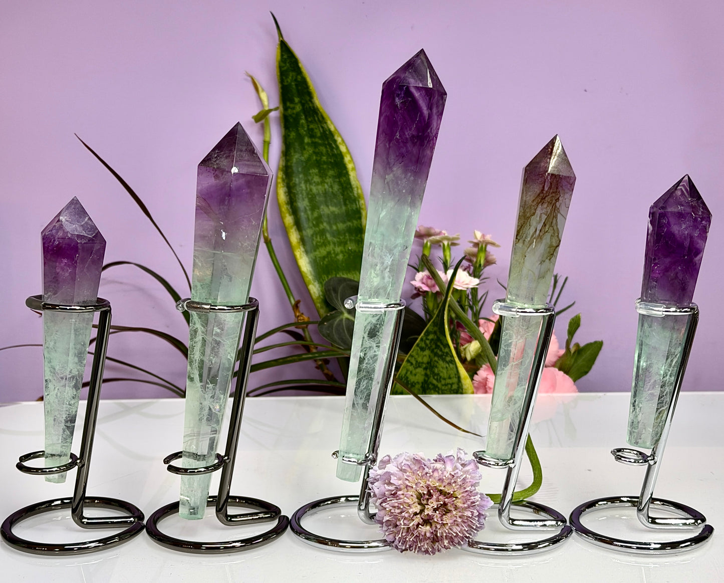 Wholesale Lot 5 pcs Natural Watermelon Fluorite Scepter w stand Crystal Energy