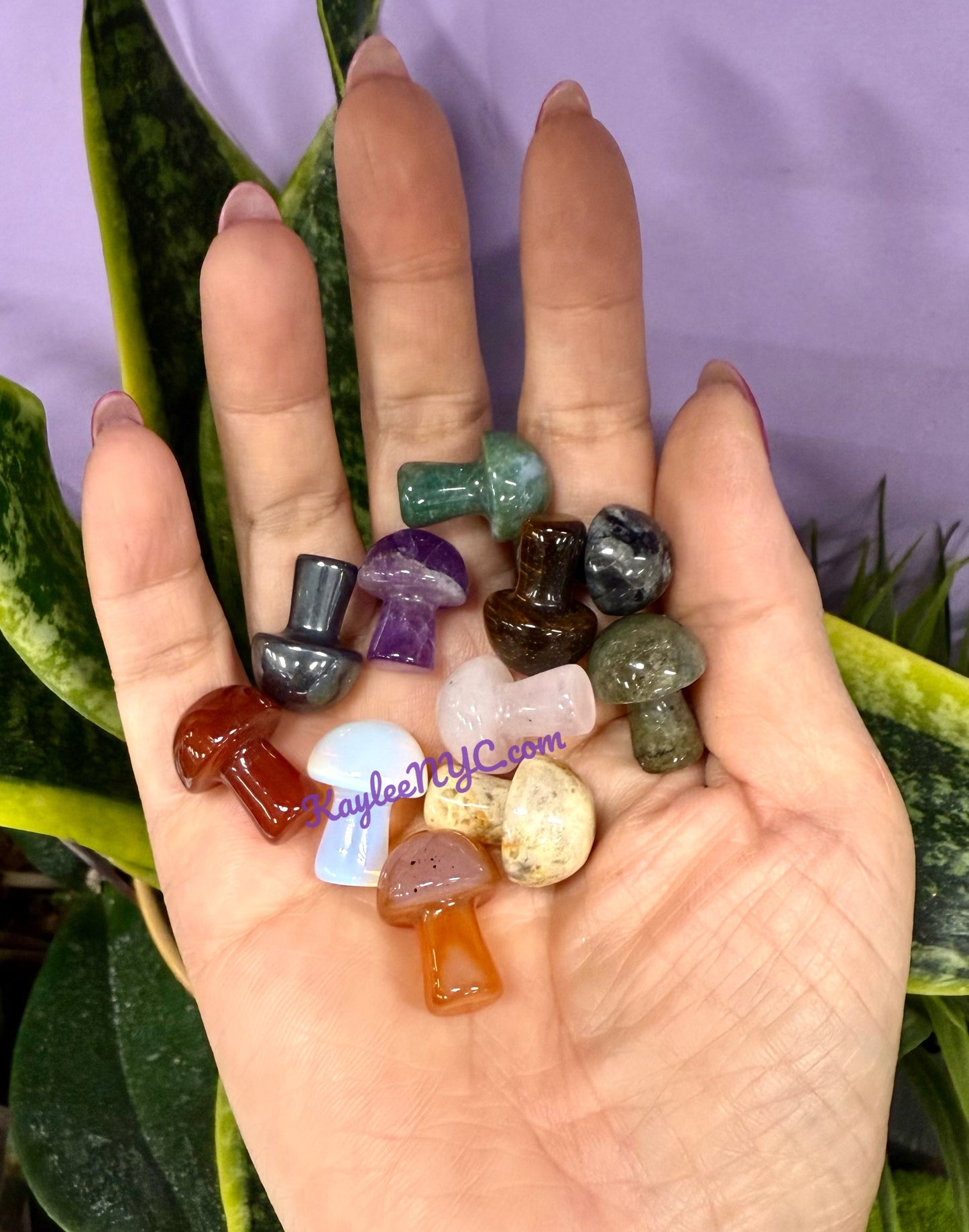 Wholesale Lot 50 PCs Natural Mixed 20mm Crystal Mushroom Healing Energy