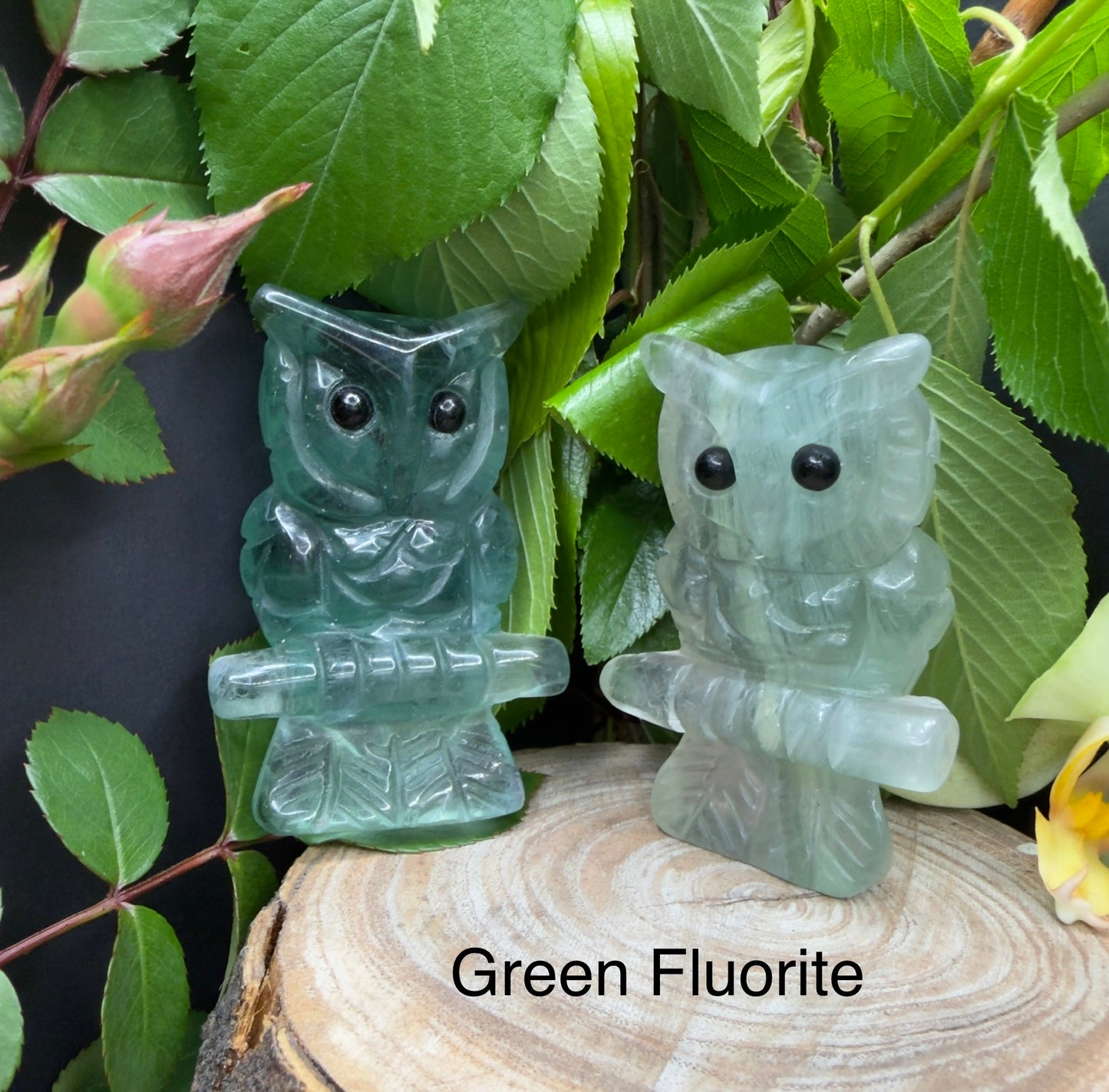 8 PCs Mixed Natural Crystal Owls Healing Energy