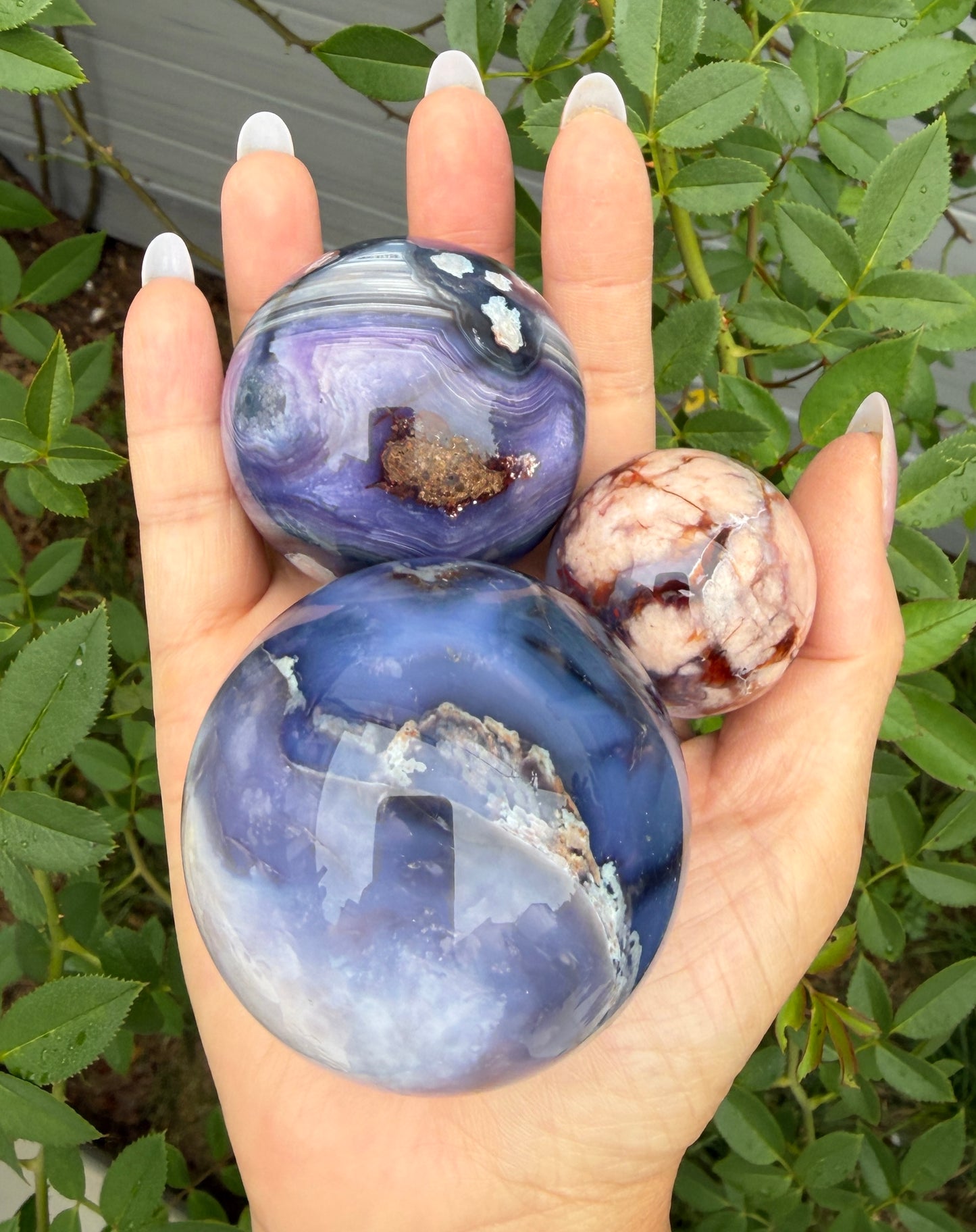 4pcs Blue Flower Agate Sphere Crystal Healing