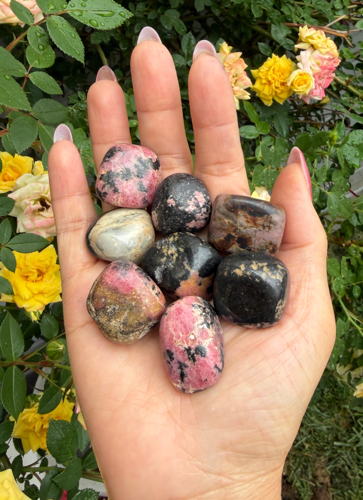 Wholesale Lot 2 Lbs Natural Rhodonite Tumble Healing Energy